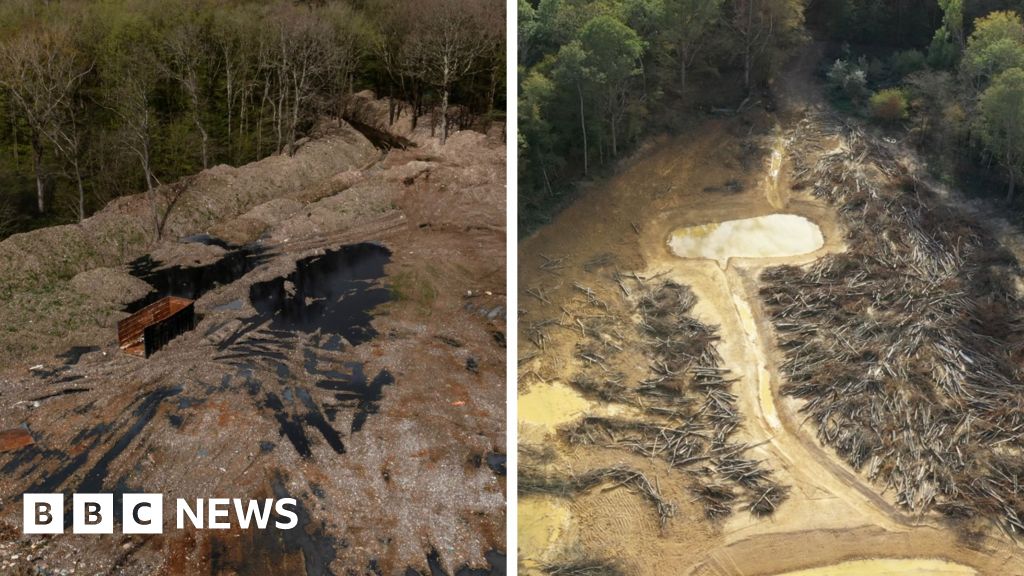 £15m spent cleaning illegal waste supersite in ancient woodland